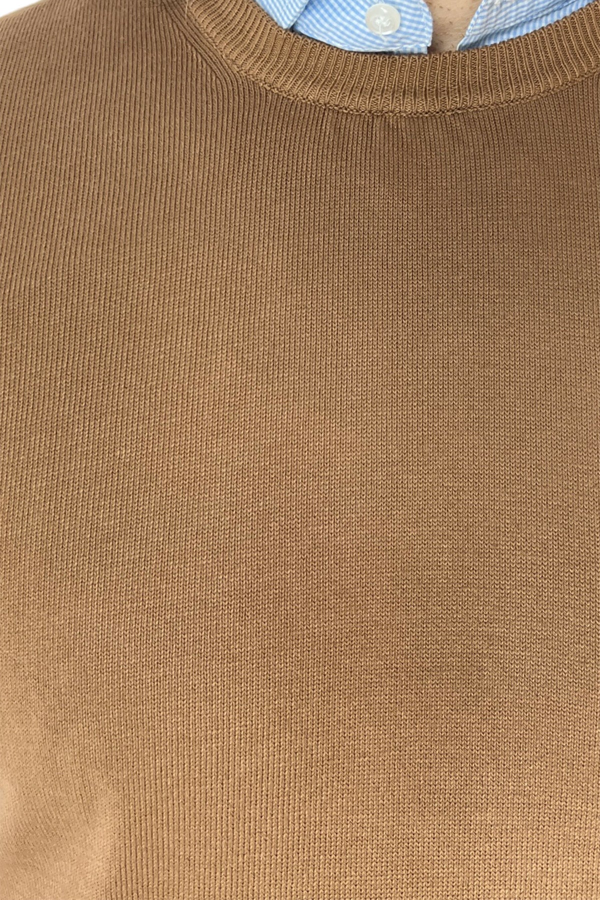 Gilet da uomo cammello 100% cotone di filo finezza 12 tinta unita