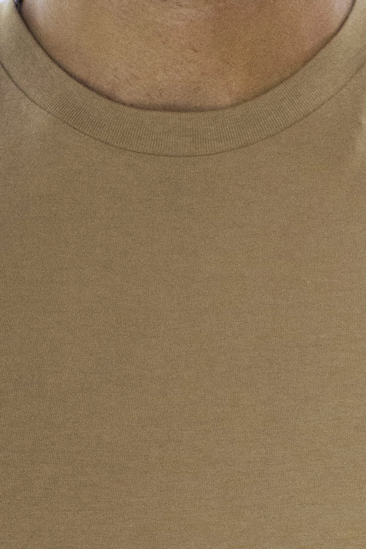 T-shirt da uomo in cotone organico tinta unita cammello regular fit elasticizzata girocollo